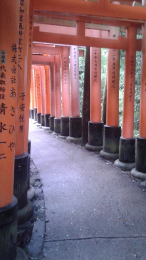 So many torii.
